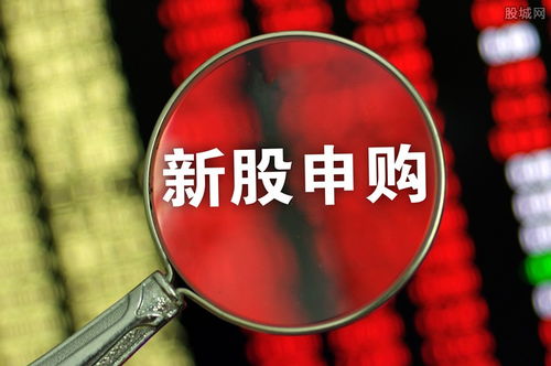 愛(ài)威科技今日開(kāi)啟申購(gòu)，單一賬戶(hù)上限4000股，專(zhuān)注網(wǎng)絡(luò)技術(shù)軟件研發(fā)與銷(xiāo)售